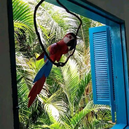 Villa Casa Ilhabela A Cinco Minutos Do Centro Esterno foto