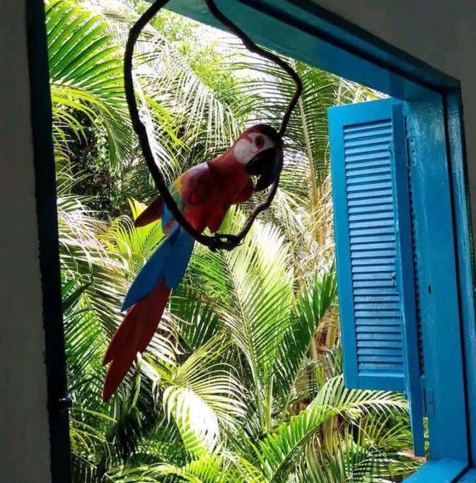 Villa Casa Ilhabela A Cinco Minutos Do Centro Esterno foto
